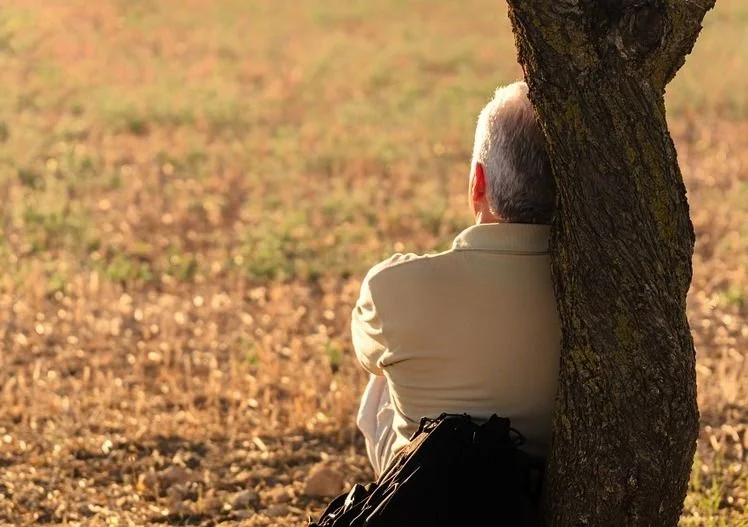 Persona sentada junto a un árbol en un paisaje de otoño
